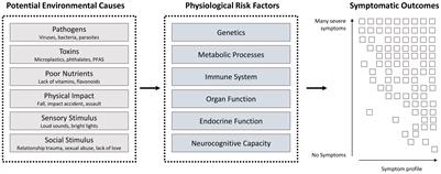 Leveraging big data for causal understanding in mental health: a research framework
